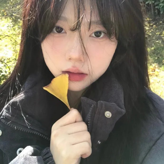 射月